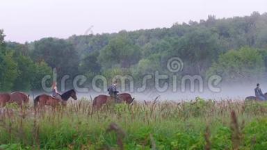 年轻人骑着马在美丽的自然、森林、雾的背景下行走